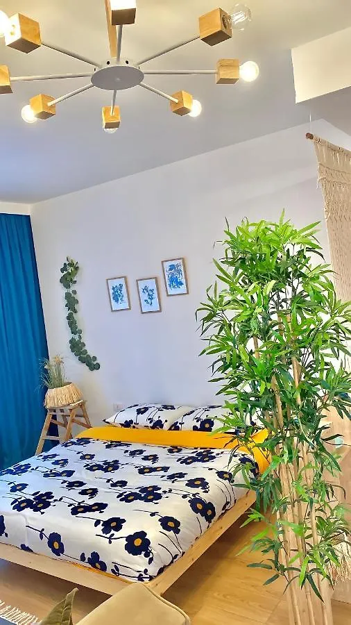 Apartment Studio Flat In The City Center Tirana