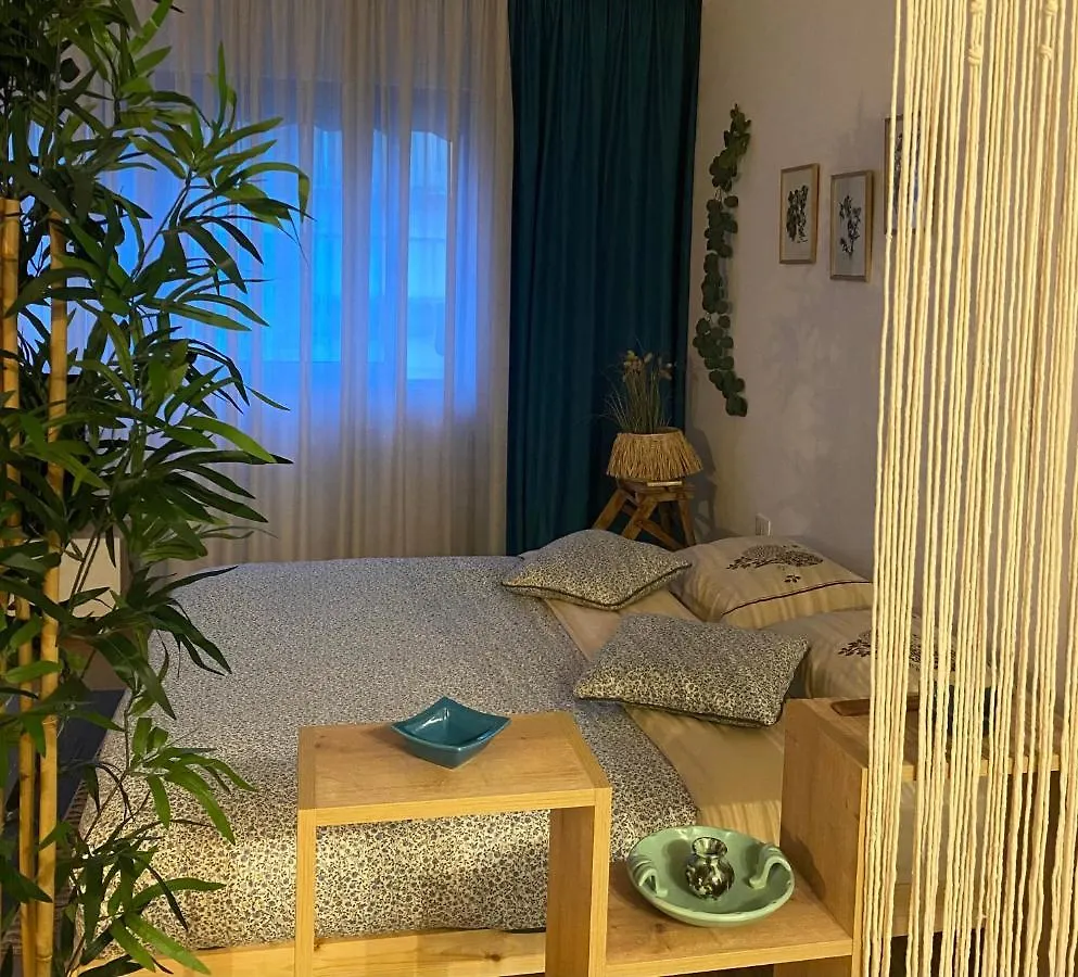 Apartment Studio Flat In The City Center Tirana